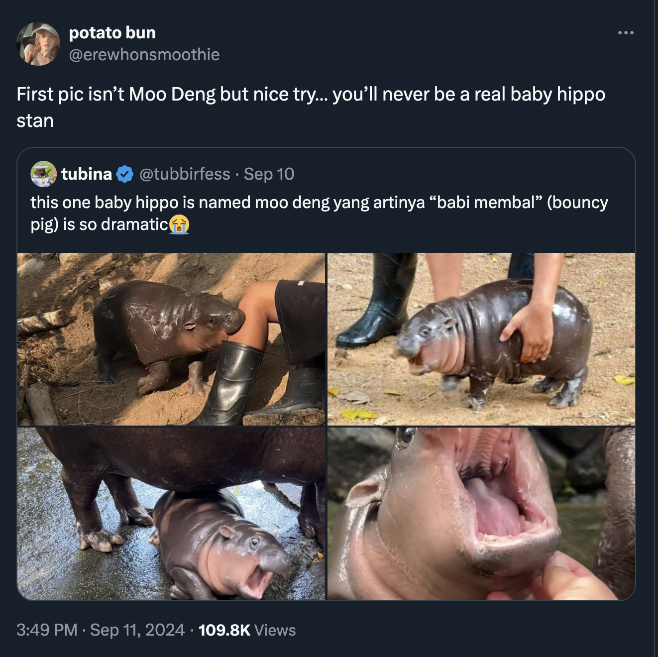 moo deng memes - hippopotamus - potato bun First pic isn't Moo Deng but nice try... you'll never be a real baby hippo stan tubina Sep 10 this one baby hippo is named moo deng yang artinya